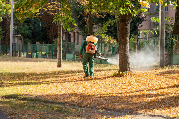 Best Affordable Pest Control Services  in Balch Springs, TX